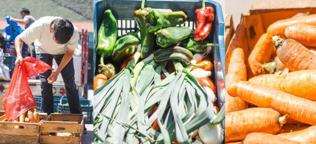 colourful produce grown in the Impact Ministries agricultural project being delivered to a school